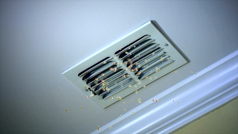 Best Best Air Duct Cleaning Company  in Hudson, TX